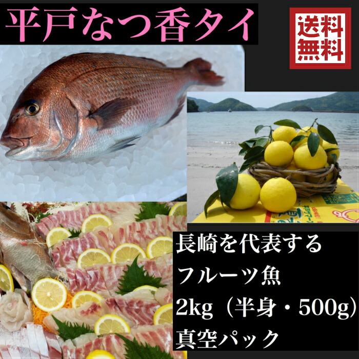 楽天市場 青空レストラン フルーツ魚 送料無料 平戸なつ香タイ 約2kg 真空パック あら付き 刺身 で 1kg フィーレ 青空レストラン長崎を代表する フルーツ 魚 鯛 活〆 みかん オレンジ 坂野水産 楽天市場店