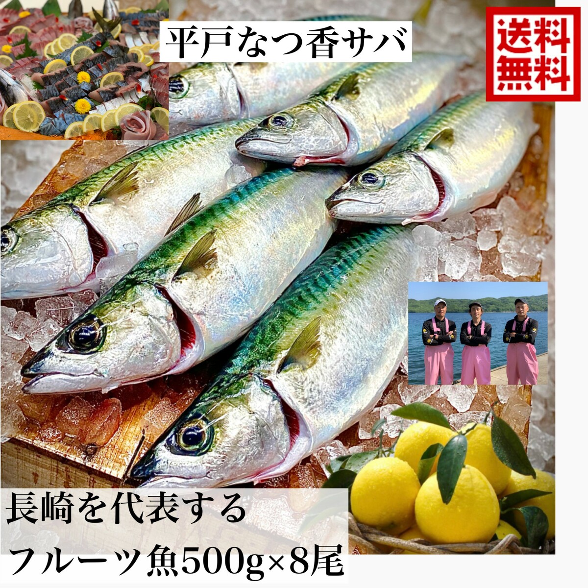 海外 青空レストラン に出た フルーツ魚 送料無料 平戸なつ香サバ 約500ｇ 8尾 長崎 を代表する 調理しやすいように内臓を出して発送します サバ 鯖 刺身 生サバ ゴマサバ 活〆 みかん オレンジ ブリ 兄弟 養殖 Fucoa Cl