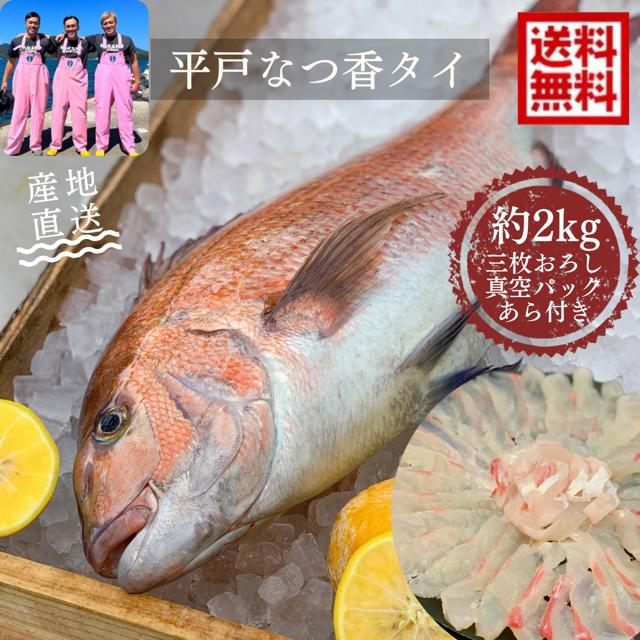 青空レストラン フルーツ魚 送料無料　<br>平戸なつ香タイ 約2kg（真空パック・あら付き）<br>刺身 で 1kg フィーレ 青空レストラン<br>長崎を代表する フルーツ 魚 鯛 活〆 みかん オレンジ 母の日　ギフト