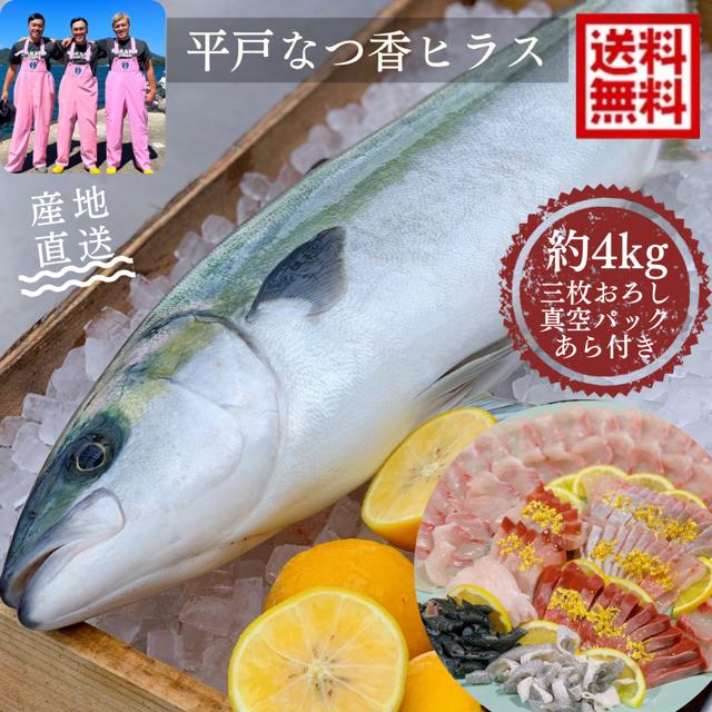 青空レストラン フルーツ魚 送料無料　<br>平戸なつ香ヒラス　約3-4ｋｇ　<br>三枚おろし　(真空パック・あら付き)<br>刺身  フィーレ 青空レストラン<br>長崎を代表する フルーツ 魚　ヒラマサ　活〆　みかん　オレンジ　贈答品　母の日　ギフト　お歳暮　お中元