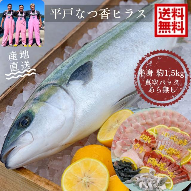青空レストランで紹介された フルーツ魚 送料無料　<br>平戸なつ香 ヒラス 半身　(真空パック) 約1ｋｇ　<br>長崎を代表する フルーツ 魚<br> ヒラマサ 活〆　みかん　オレンジ　贈答品　ホワイトデー　お中元　お歳暮