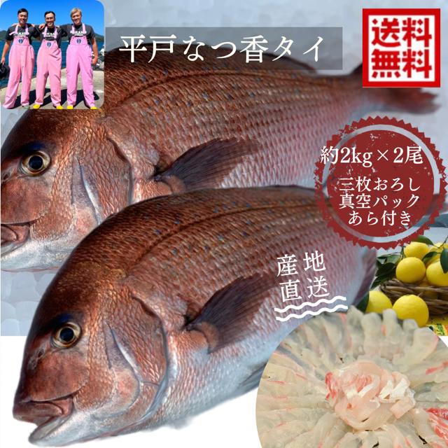 送料無料 御歳暮<br>平戸なつ香タイ　約2kg×2尾（真空パック・あら付き）<br>刺身 で 1kg フィーレ <br>長崎を代表する フルーツ 魚 鯛 活〆　みかん　オレンジ 兄弟 青空レストラン　母の日　ギフト