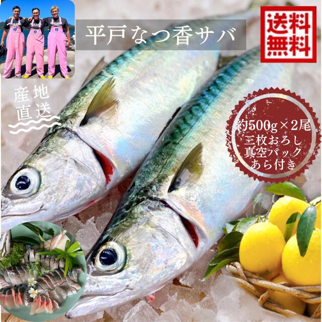 青空レストラン に出た フルーツ魚 送料無料　平戸なつ香サバ　約500ｇ&times;2尾　三枚おろし (真空パック)刺身 で フィーレ ホワイトデー長崎を代表する フルーツ 魚 鯖 活〆 生サバ 青空レストラン 兄弟　母の日ギフト｜坂野水産　店