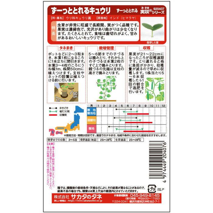 登場! トレビスの種 ジュリエッタ コート小袋