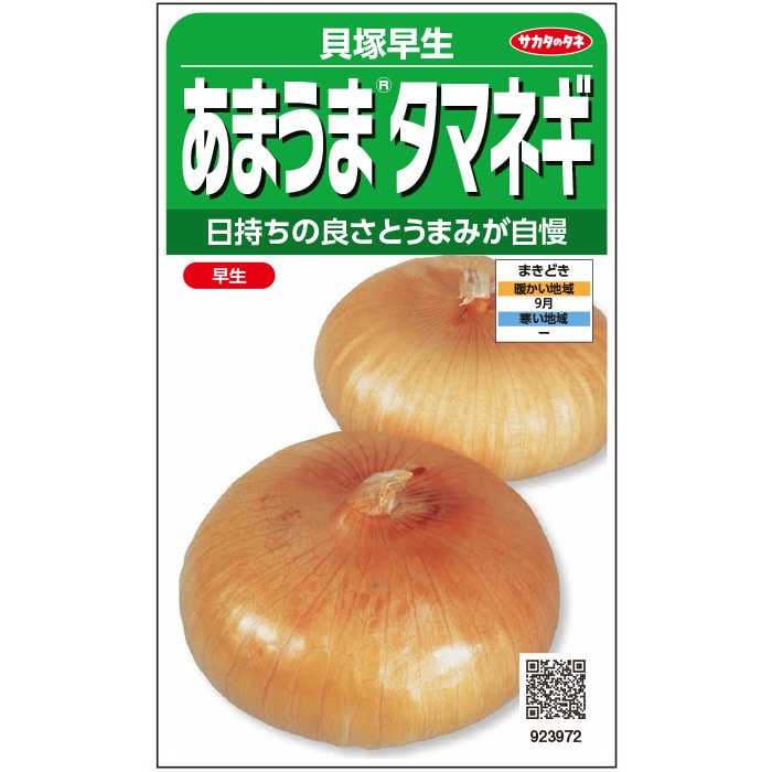 たまねぎページ Amazon.co.jp: 〈2dL〉タマネギ種【 ボルト 】タキイ種苗 : DIY