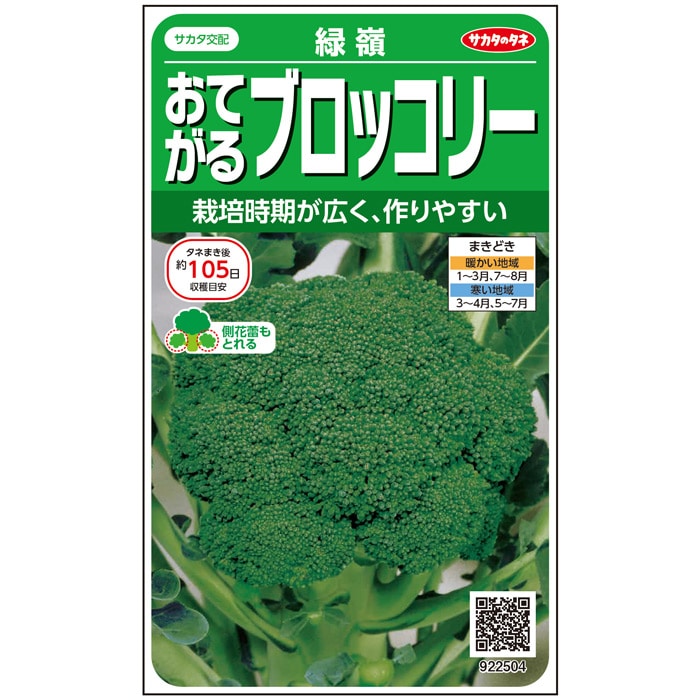 ブロッコリー コート種子 5000粒 晩緑99W 楽天市場】ブロッコリー 種 おはよう コート 5000粒 種 プロ向け