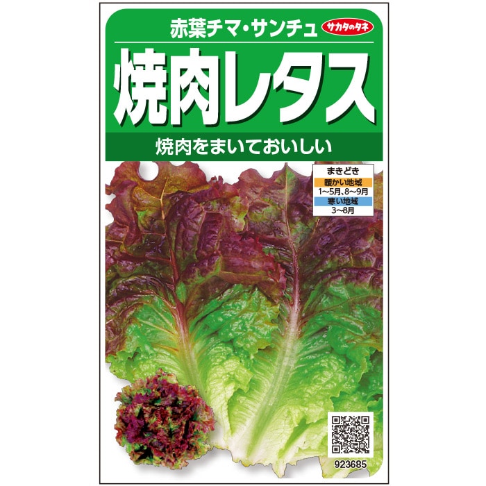 サニーレタス fit=scale-down,w=1200