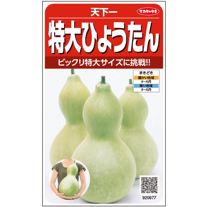 楽天市場】【特大ひょうたん】天下一【サカタのタネ】（5ml）野菜種[春
