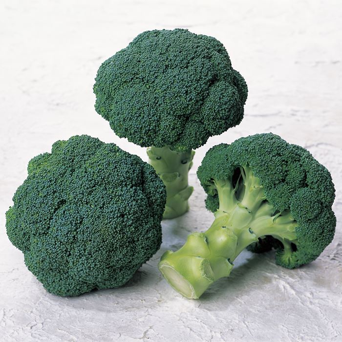 8周年記念イベントが サカタのタネ公式 ブロッコリー 種 小袋 ペレットシード約125粒 サマードーム 野菜 秋まき サカタ交配 病気に強い 健康 栄養 家庭菜園 栽培 収穫 種子 タネ たね Toyama Nozai Co Jp