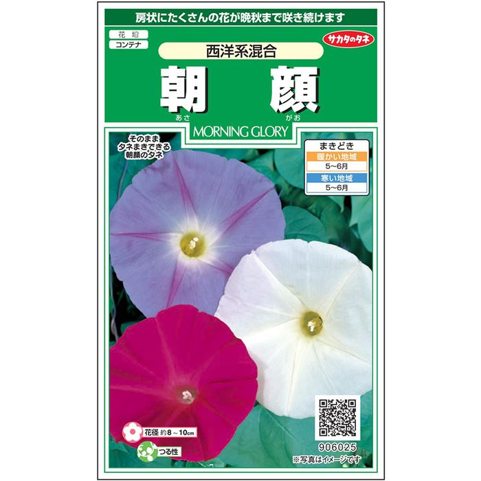 楽天市場】【サカタのタネ公式】 アサガオ 暁の混合 花 種 約10粒 小袋