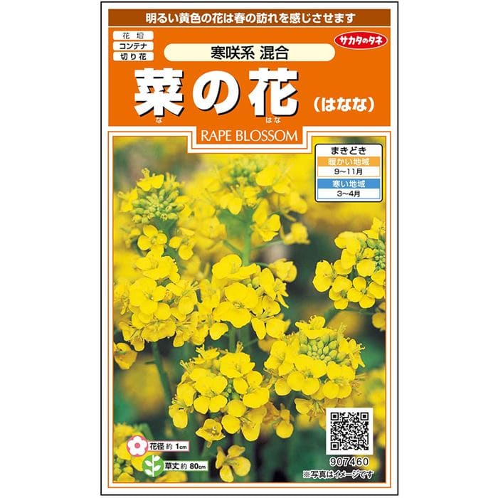 菜の花 模型】 菜の花 約10〜15mm ：木草BUNKO 完成品 HO(1/80) N2