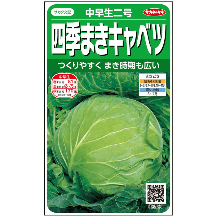 Sale開催中 サカタのタネ公式 キャベツ 種 小袋 約125粒 中早生二号 野菜 秋まき 春まき サカタ交配 サラダ向き 家庭菜園 栽培 収穫 きゃべつ 甘藍 種子 タネ たね Sferavisia Hr