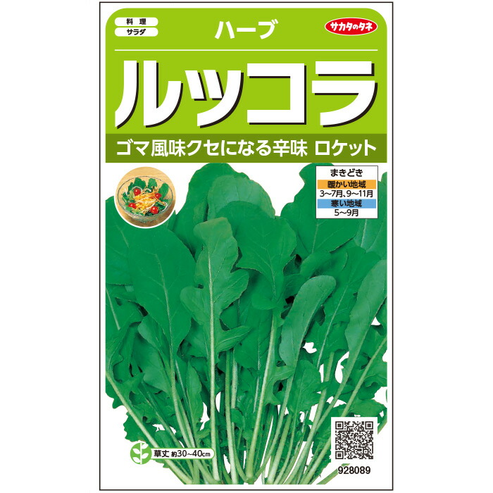 人気no 1 サカタのタネ公式 ハーブ ルッコラ ロケット 種 小袋 約615粒 野菜 秋まき 春まき 固定種 在来種 簡単 初心者向き 育てやすい プランター 鉢 サラダ向き 家庭菜園 ベランダ栽培 収穫 種子 タネ たね Toyama Nozai Co Jp 人気no 1 サカタのタネ公式 ハーブ ルッコラ ロケット 種 小袋 約615粒 野菜 秋まき 春まき 固定種 在来種 簡単 初心者向き 育てやすい プランター 鉢 サラダ向き 家庭菜園 ベランダ栽培 収穫 種子 タネ たね Toyama Nozai Co Jp