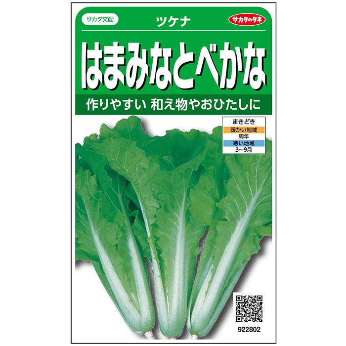 サカタのタネ公式 つけな 種 小袋 約1290粒 はまみなとべかな 61 Off 野菜 秋まき 春まき サカタ交配 簡単 初心者向き タネ 鉢 つけ菜 種子 ベランダ栽培 ツケナ プランター 家庭菜園 たね 収穫 育てやすい