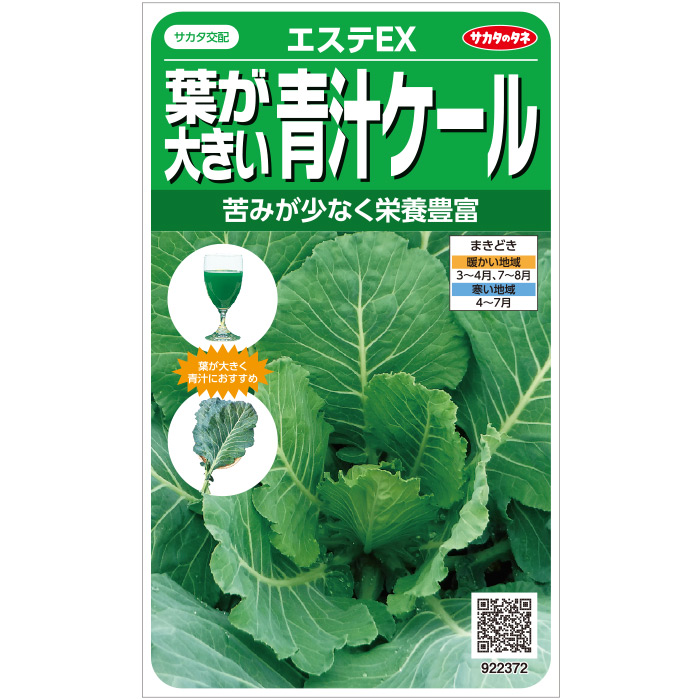 サカタのタネ公式 青汁ケール 種 小袋 約300粒 野菜 秋まき 送料無料 春まき 固定種 在来種 簡単 初心者向き 育てやすい 甘い 健康 プランター 収穫 栄養 家庭菜園 美味しい たね ベランダ栽培 タネ 鉢 種子