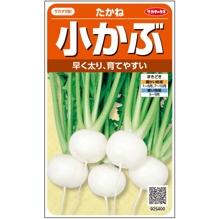 ついに入荷 サカタのタネ公式 小カブ 種 小袋 約5粒 たかね 野菜 秋まき 春まき サカタ交配 簡単 初心者向き 育てやすい プランター 鉢 家庭菜園 ベランダ栽培 収穫 小蕪 かぶ 種子 タネ たね Sferavisia Hr