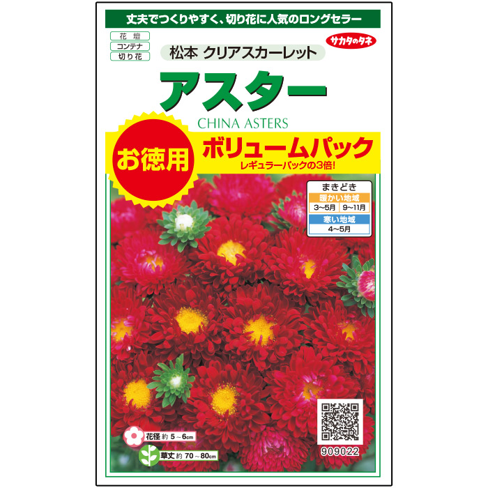 サカタのタネ公式 アスター 種 小袋 約550粒 レッド 松本 クリアスカーレット 花 春まき 秋まき 夏 秋 鉢植え ベランダ栽培 切り花 タネ たね ガーデニング 園芸 種子 仏花 菊 鉢 プランター 売れ筋ランキングも キク 地植え