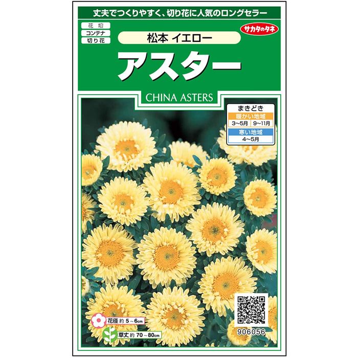 超安い サカタのタネ公式 アスター 種 小袋 約180粒 イエロー 松本 花 春まき 秋まき 夏 秋 鉢植え 地植え 切り花 プランター 鉢 仏花 ベランダ栽培 ガーデニング 園芸 菊 キク 種子 タネ たね Sferavisia Hr