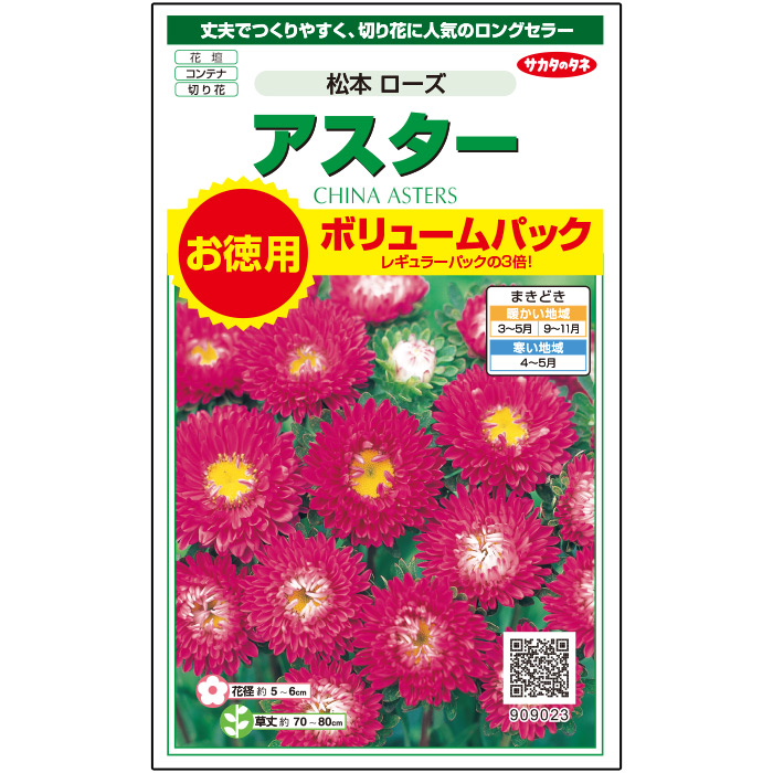 ランキングtop5 サカタのタネ公式 アスター 種 小袋 約550粒 ピンク 松本 ローズ 花 春まき 秋まき 夏 秋 鉢植え 地植え 切り花 プランター 鉢 仏花 ベランダ栽培 ガーデニング 園芸 菊 キク 種子 タネ たね Sferavisia Hr