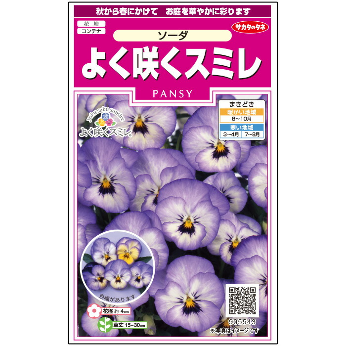 世界有名な サカタのタネ公式 パンジー 種 小袋 約40粒 ブルー よく咲くスミレ ソーダ 花 春まき 秋まき 秋 冬 鉢植え 地植え プランター 鉢 一年草 ベランダ栽培 ガーデニング 園芸 三色スミレ 種子 タネ たね Ie Monogatari Jp