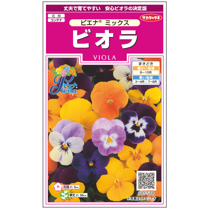 サカタのタネ公式 ビオラ 種 小袋 約30粒 マルチカラー ピエナ R まとめ買い ミックス 花 春まき 秋まき 秋 ガーデニング 種子 鉢 タネ 地植え 鉢植え たね プランター 三色スミレ 一年草 ベランダ栽培 園芸 冬