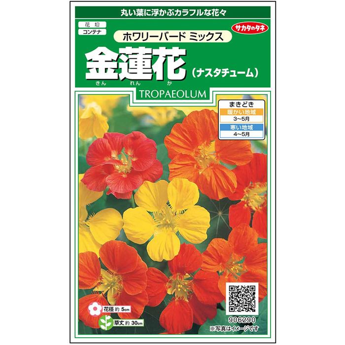 サカタのタネ かれん, かれん 耐性障害 – ZJFK
