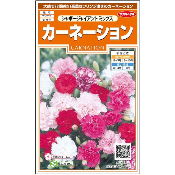 贈答 サカタのタネ公式 カーネーション 種 小袋 約55粒 マルチカラー シャボージャイアント ミックス 花 春まき 秋まき 春 夏 鉢植え 地植え 切り花 プランター 鉢 一年草 ベランダ栽培 ガーデニング 園芸 種子 タネ たね Toyama Nozai Co Jp