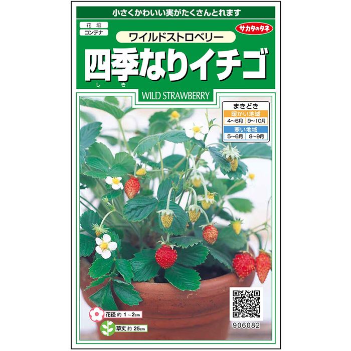 流行 サカタのタネ公式 四季なりイチゴ 種 小袋 約140粒 マルチカラー ワイルドストロベリー 花 春まき 秋まき 春 秋 鉢植え 地植え プランター 鉢 多年草 ベランダ栽培 ガーデニング 園芸 いちご 種子 タネ たね Trofej Dinamo Hr 流行 サカタのタネ公式 四季なりイチゴ 種 小袋 約140粒 マルチカラー ワイルドストロベリー 花 春まき 秋まき 春 秋 鉢植え 地植え プランター 鉢 多年草 ベランダ栽培 ガーデニング 園芸 いちご 種子 タネ たね Trofej Dinamo Hr