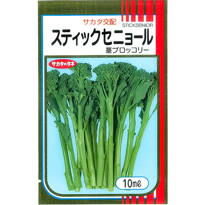 トミページです！スティックセニョール10ｋｇ！ 楽天市場】ブロッコリー スティックセニョール 10ml (株)サカタ