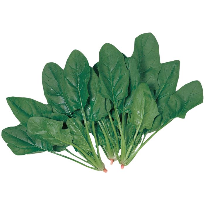 最大86 オフ サカタのタネ公式 ほうれん草 種 小袋 約750粒 ディンプル 野菜 秋まき サカタ交配 簡単 初心者向き 育てやすい プランター 鉢 サラダ向き 家庭菜園 ベランダ栽培 収穫 ホウレンソウ ほうれんそう 種子 タネ たね Toyama Nozai Co Jp