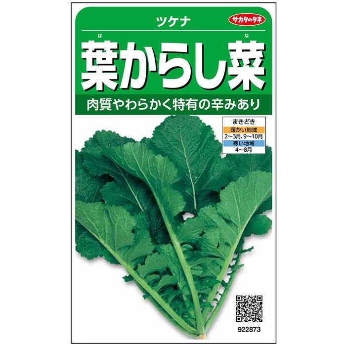 く日はお得 サカタのタネ公式 つけな 種 小袋 約2115粒 葉からし菜 野菜 秋まき 春まき 固定種 在来種 簡単 初心者向き 育てやすい プランター 鉢 漬物向き 家庭菜園 ベランダ栽培 収穫 つけ菜 ツケナ 種子 タネ たね Sferavisia Hr