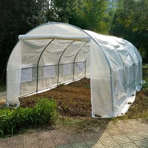 ビニール温室 ビニールハウス 大型家庭菜園温室 PE素材 ウォークインガーデン植物温室 多機能温室棚 果物と野菜の庭 植物園芸温室 防水 暖かくて通気性があり、付属品も付いています