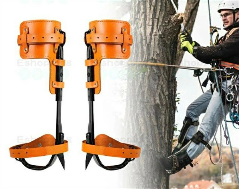 木登り道具 登山用の靴 庭木 木登り器 極登山スパイク 果物選ぶ 多目的 304ステンレス鋼 材質 耐用 科学デザイン 強い耐荷重力 ポータブル 使用簡単 狩猟観察 登山などに適用木登り器 木登り道具 木登り道具 木登り器|サカツクストア
