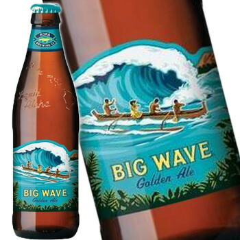 コナ ビッグウェーブ ゴールデンエール 355ml 輸入ビール 24本入り 1ケース 送料無料 北海道 沖縄は送料1000円 クール便は800円加算