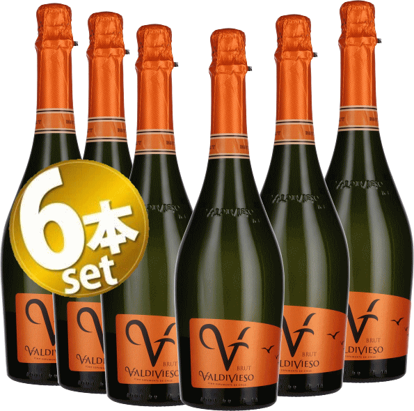 ■送料無料■6本まとめ買い！ バルディビエソ　ブリュット 白・泡　750ｍｌ辛口スパークリング・ワイン