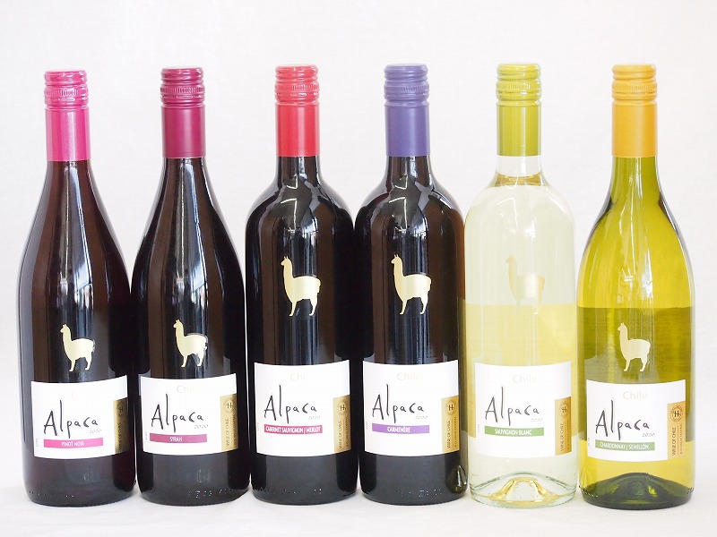 チリ生むワインアルパカ6拠点仕かける 赤色ピノ ノワール 巫バディー 赤ツルボ もり沢山ボディ 赤カルメ爪甲 フルボディ 赤カベルネ メルロー ミディアムボディ 白さシャルドネ セミヨン ドライ 白ソーヴィニヨン ブラン 辛口 750ml 6本 Mariashirts Com