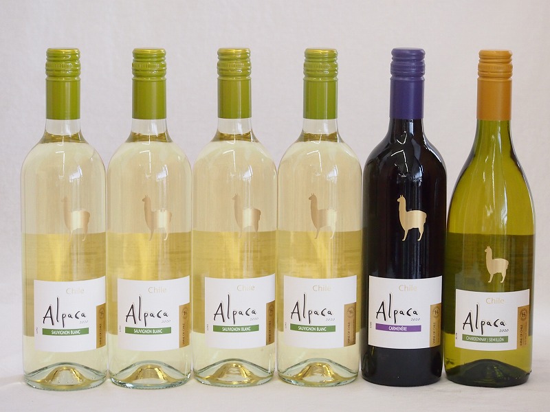 一杯00円オフ引換証11昼間1 59迄 チリ産ぶどう酒アルパカ6編章セッティング 朱カベルネ メルロー 並並胴部 白いことシャルドネ セミヨン 辛口 白ソーヴィニヨン ブラン 辛口 750ml 6本 Mariashirts Com
