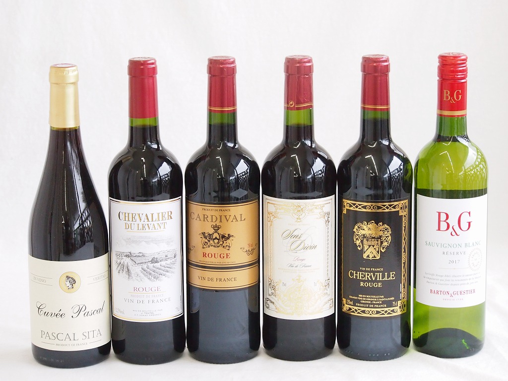 【最大2000円オフクーポン17日1:59迄】高品質フランスワイン（赤5本、白1本）で 750ml×6本