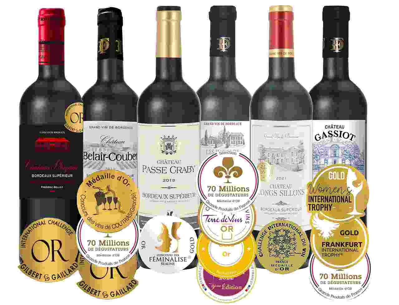 楽天市場】赤ワイン6本セット 格上金賞受賞ソムリエ厳選 セレクション