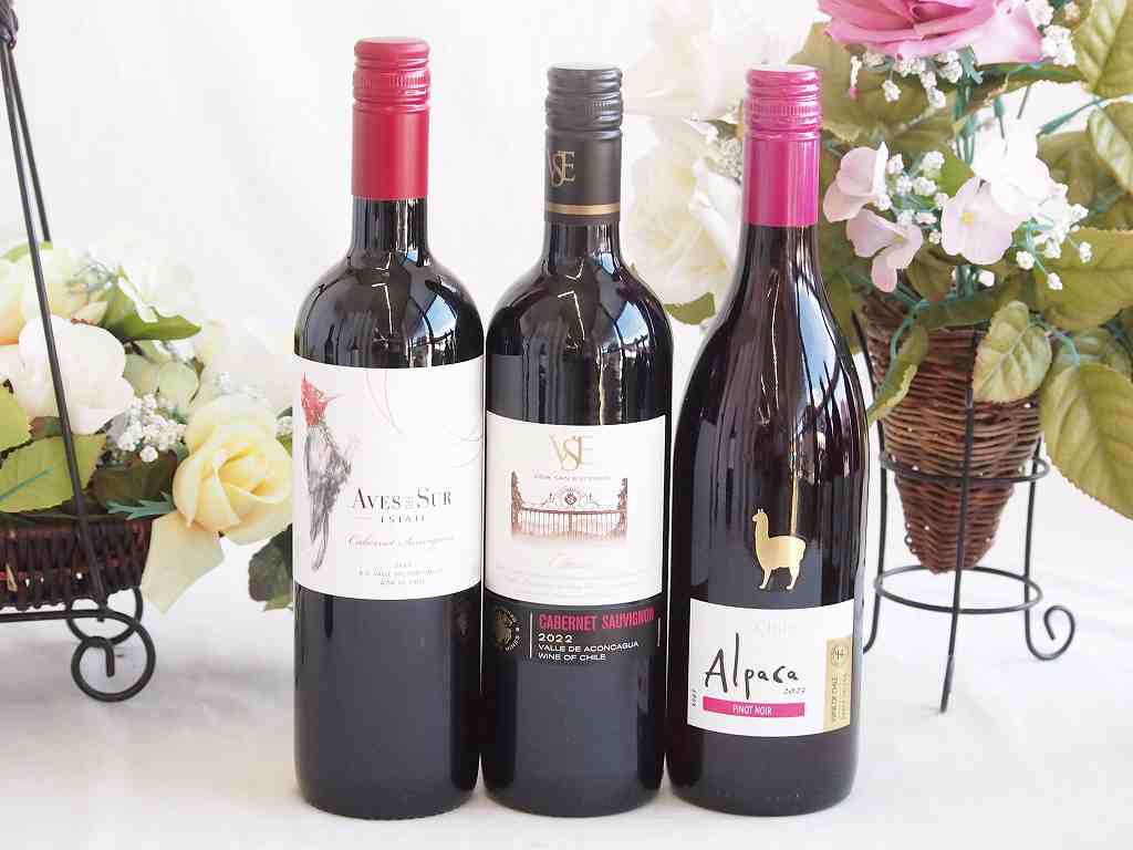 イタリアワイン 3本 728【1月中旬届】「イタリア赤ワイン3本セット」【福袋】 | 銀座