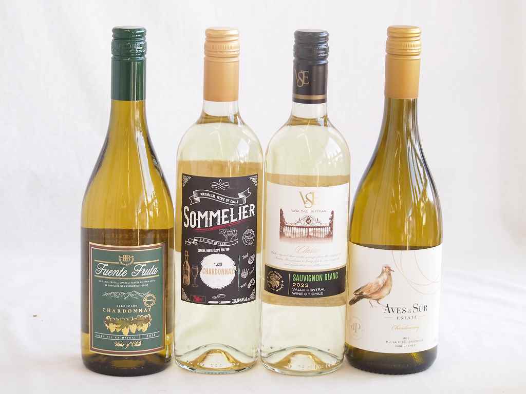 【最大2000円オフクーポン17日1:59迄】爽やかな酸味のチリ辛口白ワイン 4本セット(フルロッティ ソムリエ シャルドネ クラシック ソーヴィニヨン ブラン デル スール シャルドネ フエンテ フルータ シャルドネ) 750ml×4本