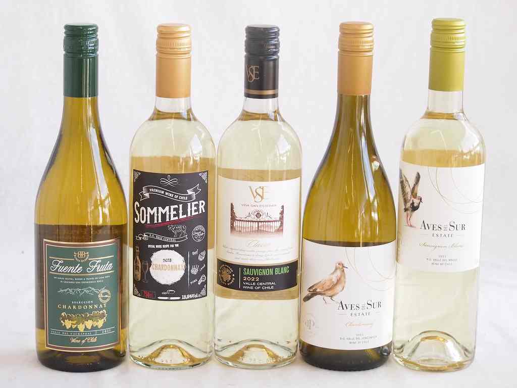 【最大2000円オフクーポン17日1:59迄】爽やかな酸味のチリ辛口白ワイン 5本セット(フルロッティ ソムリエ シャルドネ クラシック ソーヴィニヨン ブラン デル スール ソーヴィニヨン ブラン デル スール シャルドネ フエンテ フルータ シャルドネ) 750ml×5本