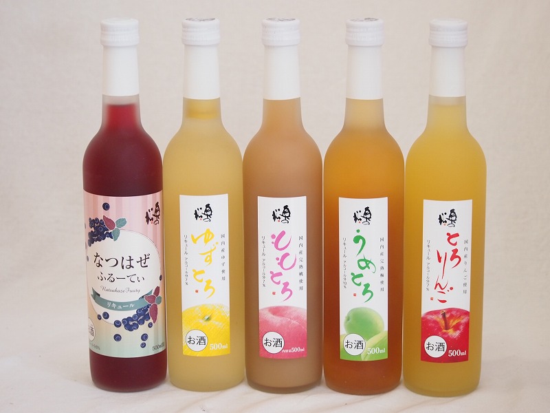 【最大2000円オフクーポン10日1:59迄】果実リキュール5本セット(国産林檎のとろりんご 国産梅のうめとろ 国産ゆずのゆずとろ 国産完熟桃のももとろ 和製ブルーベリーなつはぜふるーてぃ) 500ml×5本 8,980円