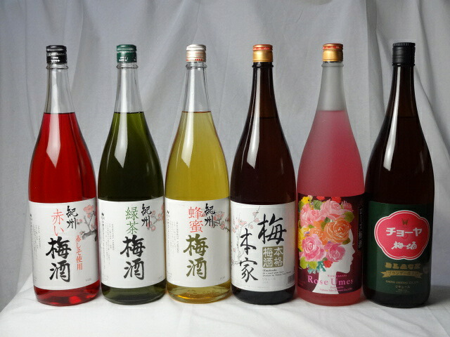 【最大2000円オフクーポン26日1:59迄】こんな梅酒福袋が欲しかったぁ 飲み比べ6本セット(中野BC 赤い梅酒 緑茶梅 酒 蜂蜜梅酒 中埜酒造 おばあちゃんの梅酒 中埜酒造 ローズ梅酒 チョーヤ梅酒)1800ml×6本|贈り物本舗じざけや