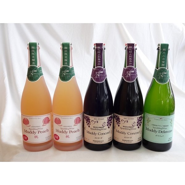 【最大2000円オフクーポン17日1:59迄】ワインセット スパークリングワイン5本セット マディデラウェア(デラウェア)×1本 マディルージュ(ルージュ)×2本 マディ