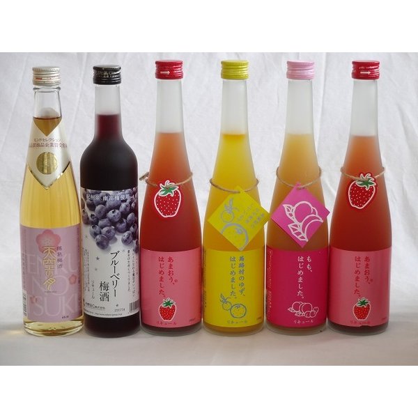 【最大2000円オフクーポン10日1:59迄】果実リキュール6本セット 紀州産 南高梅使用ブルーベリー梅酒 500ml（和歌山）・天空の月 メモリエ（大分県） 500ml ・ 9,980円