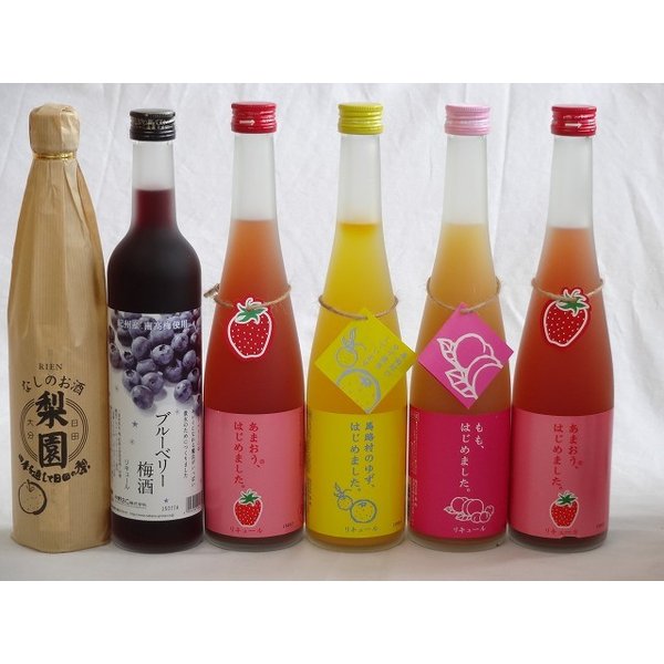 【最大2000円オフクーポン10日1:59迄】果実リキュール6本セット 紀州産 南高梅使用ブルーベリー梅酒 500ml（和歌山）・なしのお酒 梨園（りえん） 500ml 篠崎 9,980円