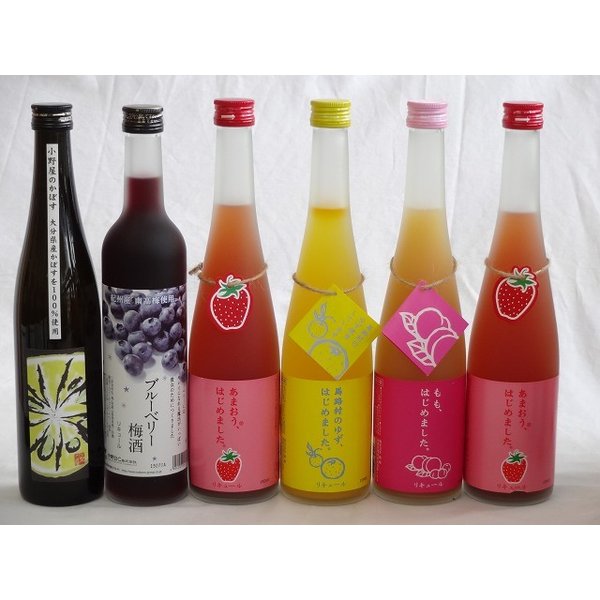 【最大2000円オフクーポン10日1:59迄】果実リキュール6本セット 紀州産 南高梅使用ブルーベリー梅酒 500ml（和歌山）・小野屋のかぼす（大分） 500ml 篠崎 9,980円