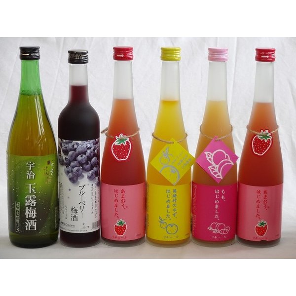 【最大2000円オフクーポン10日1:59迄】果実リキュール6本セット 紀州産 南高梅使用ブルーベリー梅酒 500ml（和歌山）・北川本家 はんなり梅酒 宇治玉露梅酒 720