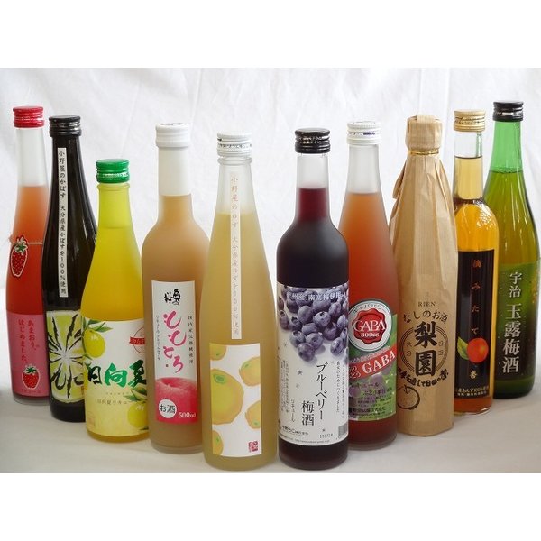 【最大2000円オフクーポン10日1:59迄】果実リキュール10本セット 紀州産 南高梅使用ブルーベリー梅酒 500ml（和歌山）・高千穂酒造 宮崎産日向夏みかん使用 日向夏
